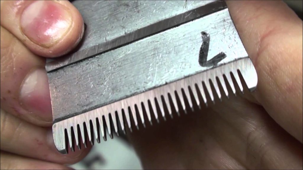 How To Sharpen Clipper Blades